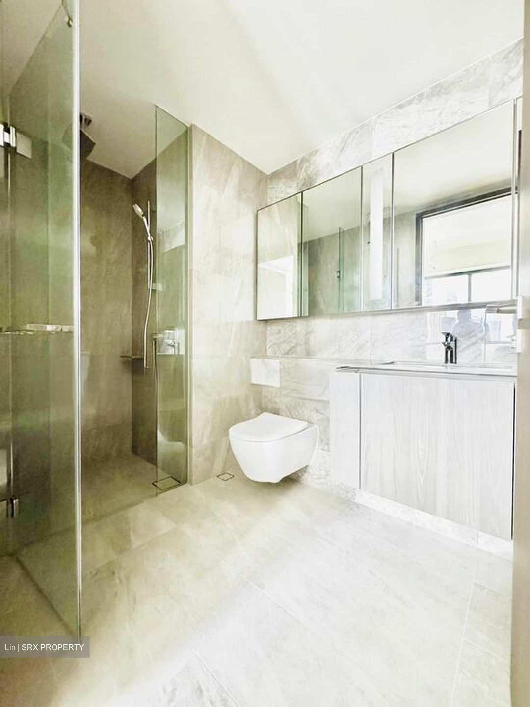 Piccadilly Grand (D8), Apartment #501889831
